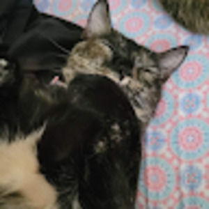 Meet your Posher, Aurora